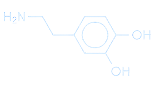 Estrutura da Dopamina